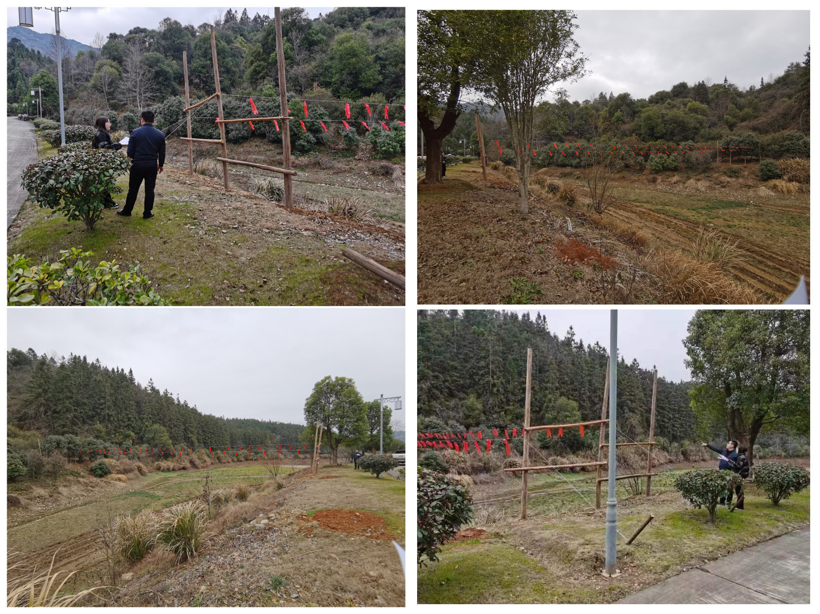 14cfc660e6d0406799f6138dac909bf - ����_����_����.jpg