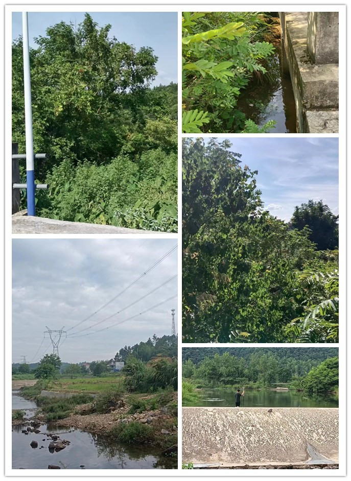 initpintu_副本.jpg initpintu_副本.jpg