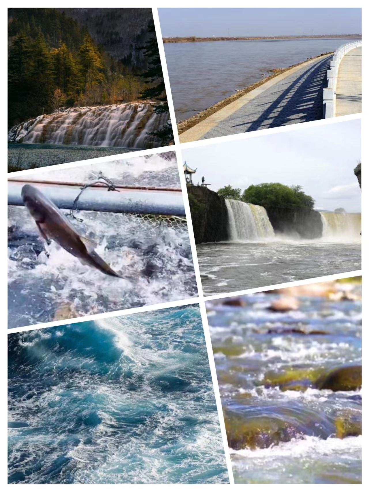 99c5dd1e30fcd4d4dc02d9237c271a9.jpg 99c5dd1e30fcd4d4dc02d9237c271a9.jpg