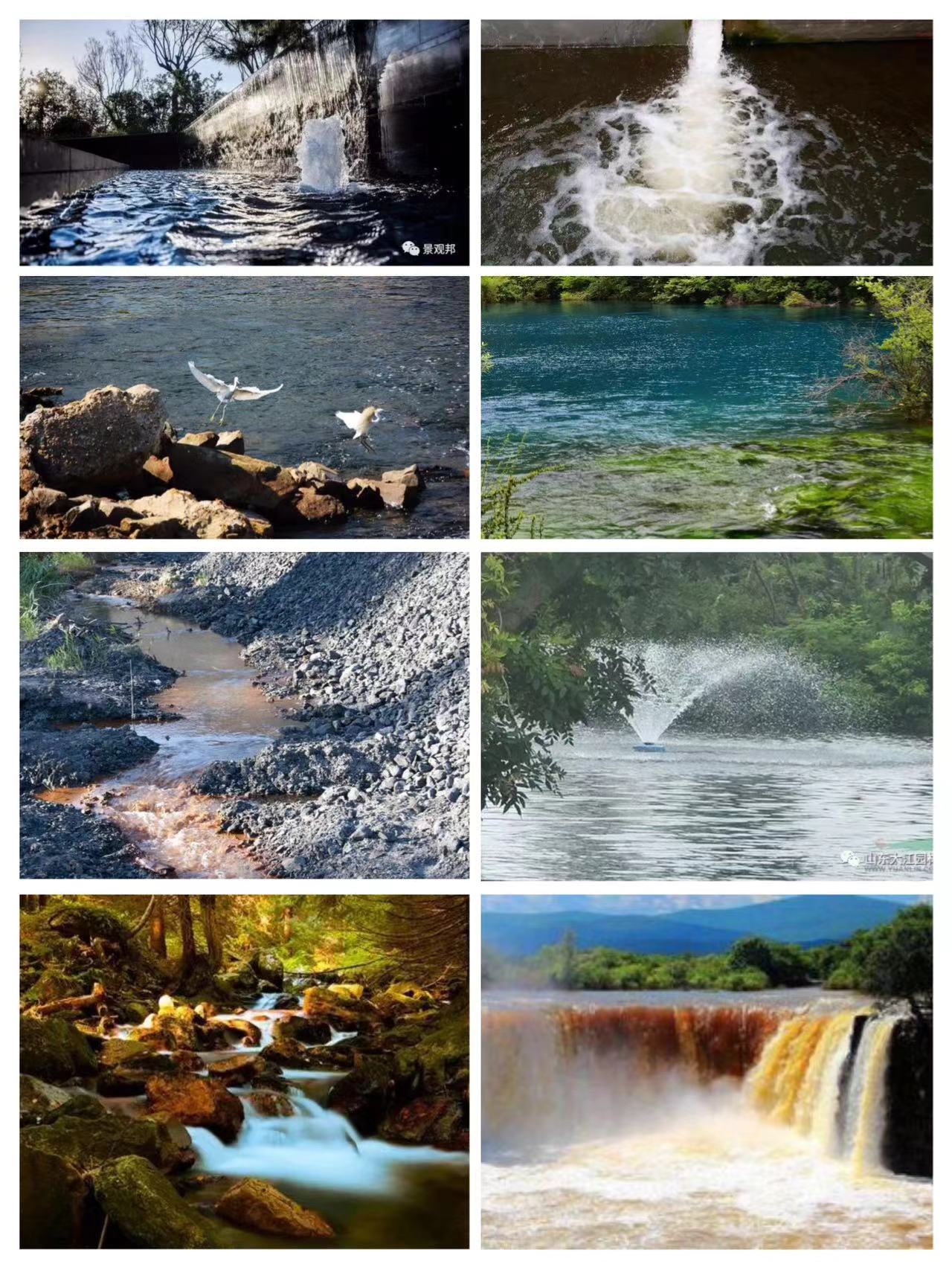 4d019cd95c71c1d16d0dfa7e5b34aea.jpg 4d019cd95c71c1d16d0dfa7e5b34aea.jpg